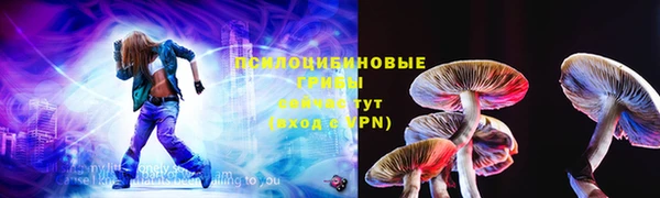 ГАЛЛЮЦИНОГЕННЫЕ ГРИБЫ Осташков