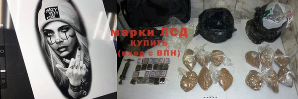ГАЛЛЮЦИНОГЕННЫЕ ГРИБЫ Осташков