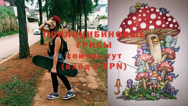 мескалин Осинники