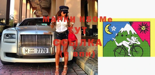 хмурый Няндома