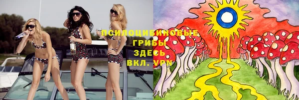 ГАЛЛЮЦИНОГЕННЫЕ ГРИБЫ Осташков