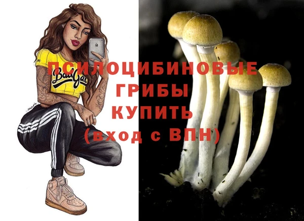 ГАЛЛЮЦИНОГЕННЫЕ ГРИБЫ Осташков