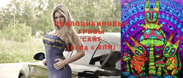 мескалин Осинники