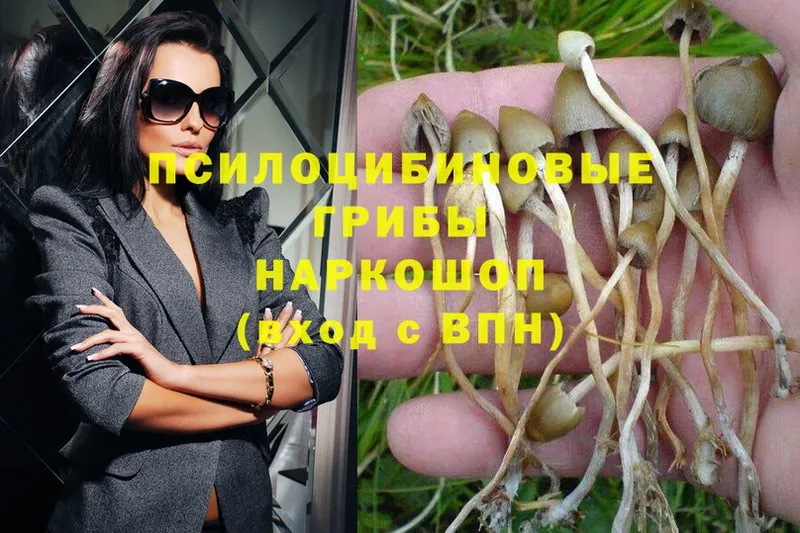 наркота  Остров  omg   Псилоцибиновые грибы Magic Shrooms 